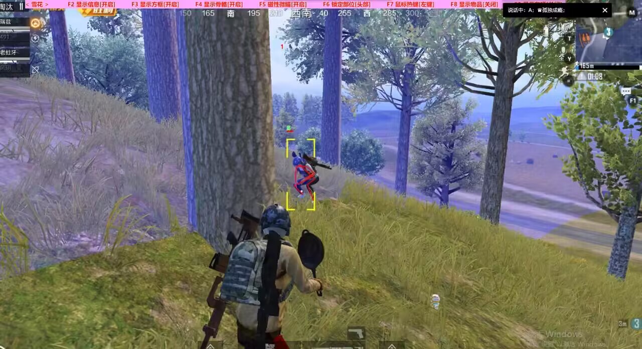 和平精英辅助【保时捷】